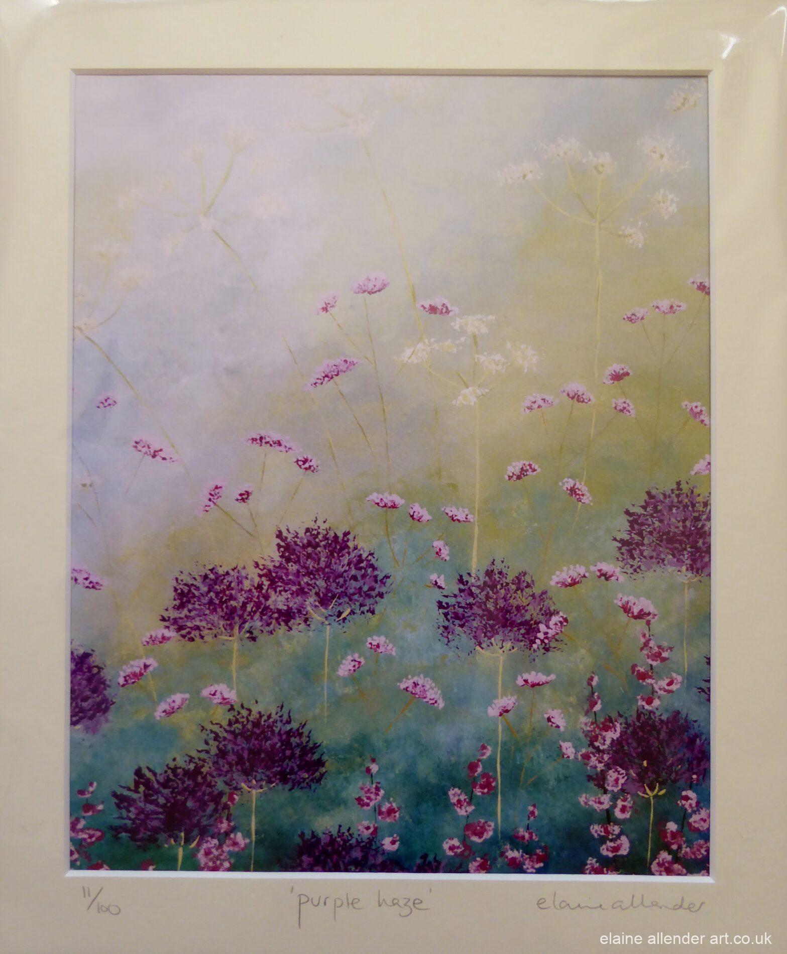 Purple Haze
